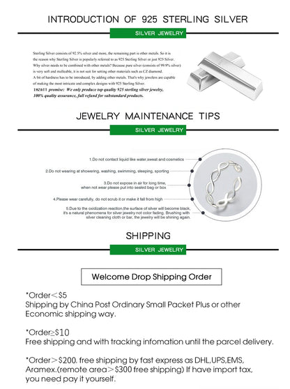 925 Sterling Silver Earrings For Women Trendy Simple Shinning Earring Jewelry Prevent Allergy Party Christmas Accessories