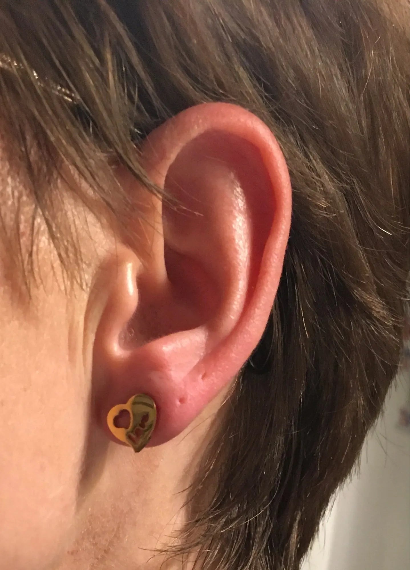 Wholesale Stainless Steel Earrings for Women Girl Animal Clover Flower Cat Bird Unicorn Bear Butterfly Dragonfly Dog Ear Studs