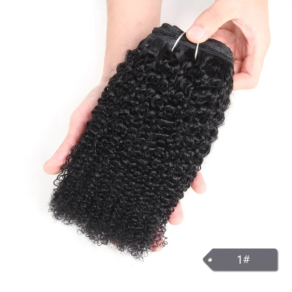 Sleek Afro Kinky Weave Curly Hair Peruvian Human Hair Weave Bundles Deal  #1B #2 #4 Brown Remy Hair Extension