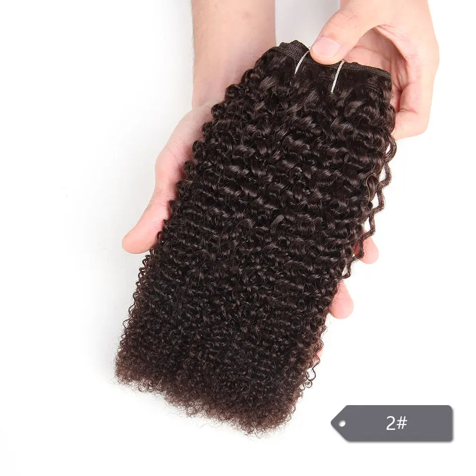 Sleek Afro Kinky Weave Curly Hair Peruvian Human Hair Weave Bundles Deal  #1B #2 #4 Brown Remy Hair Extension