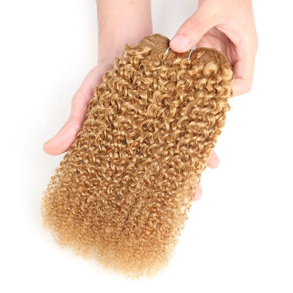 Sleek Afro Kinky Weave Curly Hair Peruvian Human Hair Weave Bundles Deal  #1B #2 #4 Brown Remy Hair Extension