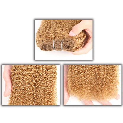 Sleek Afro Kinky Weave Curly Hair Peruvian Human Hair Weave Bundles Deal  #1B #2 #4 Brown Remy Hair Extension