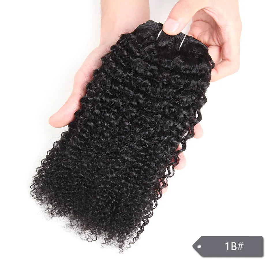 Sleek Afro Kinky Weave Curly Hair Peruvian Human Hair Weave Bundles Deal  #1B #2 #4 Brown Remy Hair Extension