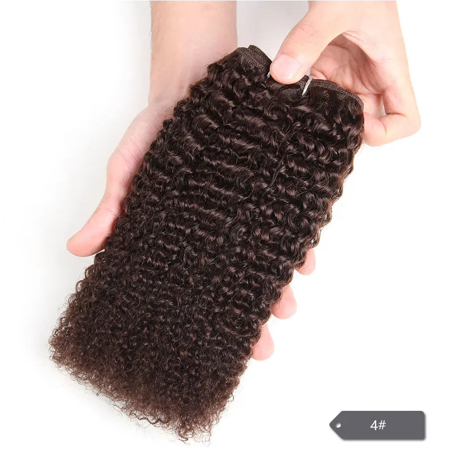Sleek Afro Kinky Weave Curly Hair Peruvian Human Hair Weave Bundles Deal  #1B #2 #4 Brown Remy Hair Extension