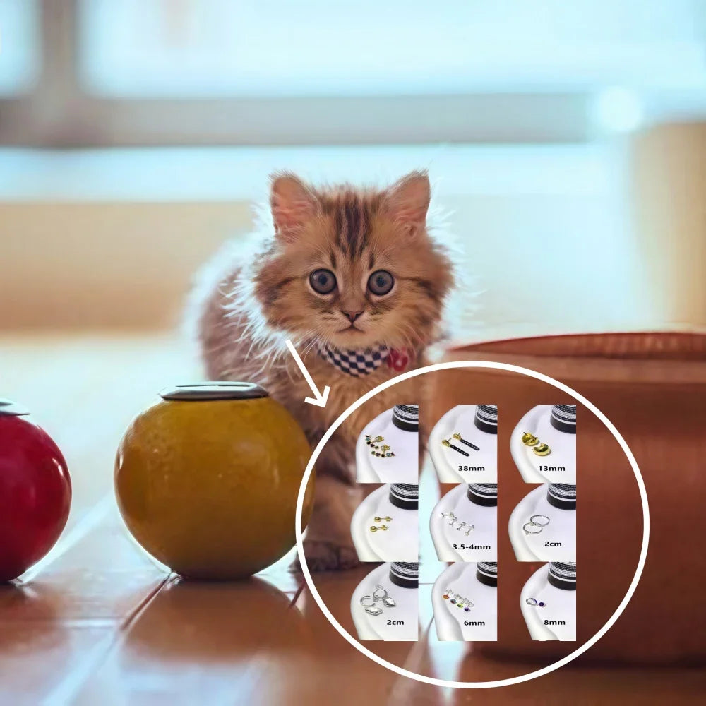 2025 Earrings Are Fashionable and Simple, Designed Specifically for Women's Accessories, Suitable for Parties and Gift Giving