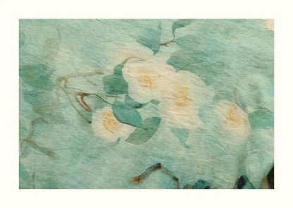 Elegant Summer Tops for Mature Women