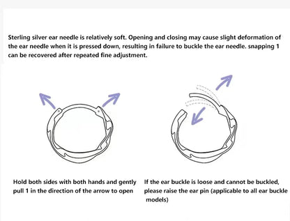 925 Sterling Silver Round Zirconia Earrings Simple Style Charming Women Earrings Birthday Gift for Friends Fine Jewellery