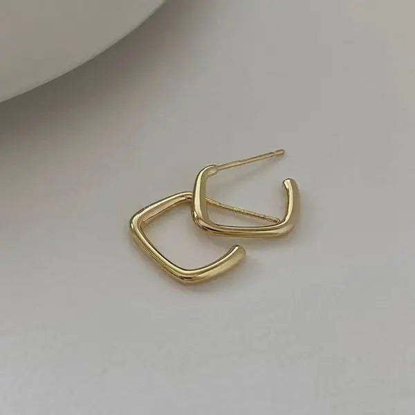 European and American Fashion Earrings Geometric Metal Earrings Fashion Earrings Net Red New Trend Earrings