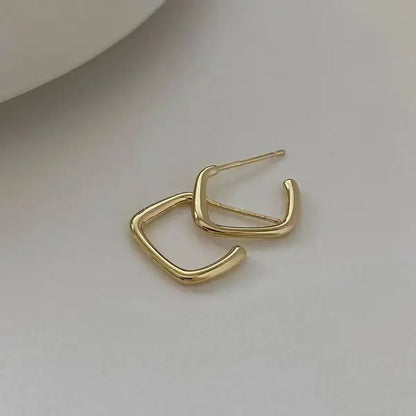 European and American Fashion Earrings Geometric Metal Earrings Fashion Earrings Net Red New Trend Earrings