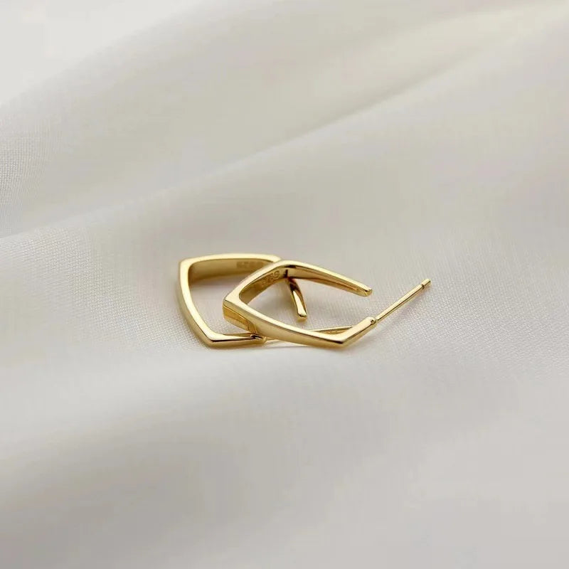 European and American Fashion Earrings Geometric Metal Earrings Fashion Earrings Net Red New Trend Earrings