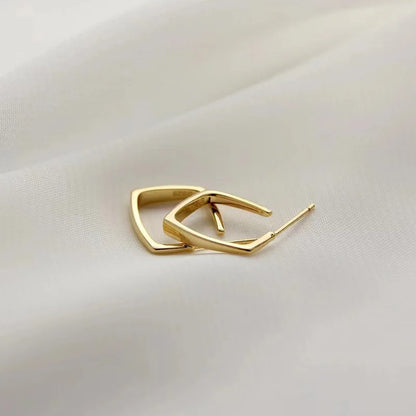 European and American Fashion Earrings Geometric Metal Earrings Fashion Earrings Net Red New Trend Earrings