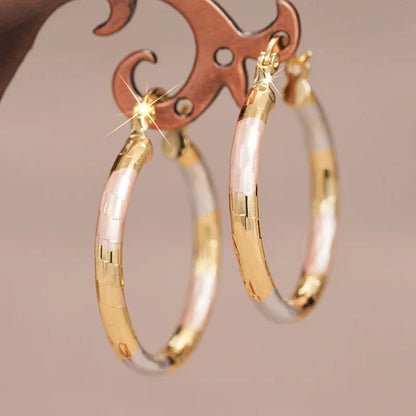 2025 New European and American Exquisite Exaggerated Earrings for Women's Luxury Fashion Evening Dress Fashion Accessories