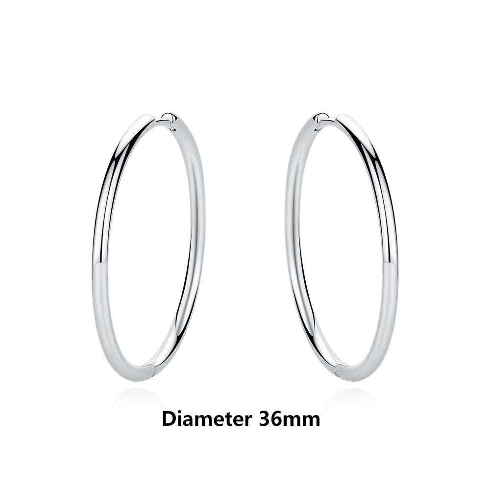 Original 925 Sterling Silver Earrings 2025 Stud Hoop Crystal Earings For Women Rose Gold Crown Heart Infinity Bee Earing Jewelry