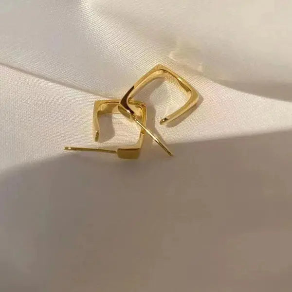 European and American Fashion Earrings Geometric Metal Earrings Fashion Earrings Net Red New Trend Earrings