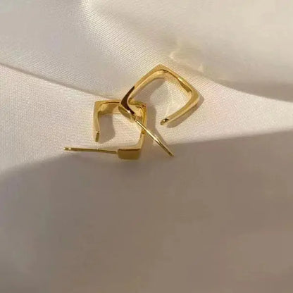 European and American Fashion Earrings Geometric Metal Earrings Fashion Earrings Net Red New Trend Earrings