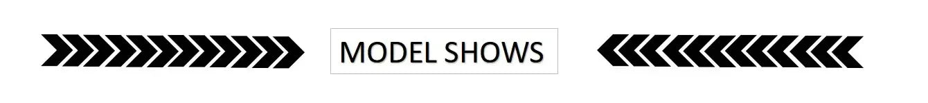 Pleated Tops for Women Summer Printed Shirts Loose Mom Wear Commuter Printed Short Sleeves Women Clothes