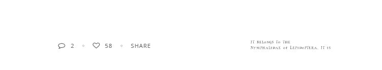 2025 New European and American Simple Metal Arc Earrings Are Small Accessories For Woman‘s Korean Fashion Jewelry Girls Students