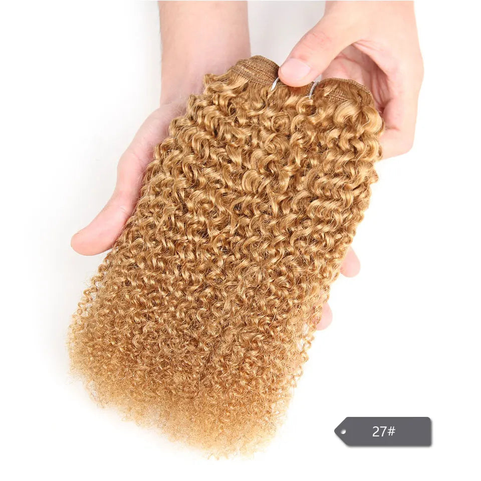 Sleek Afro Kinky Weave Curly Hair Peruvian Human Hair Weave Bundles Deal  #1B #2 #4 Brown Remy Hair Extension