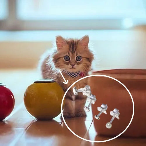 2025 Earrings Are Fashionable and Simple, Designed Specifically for Women's Accessories, Suitable for Parties and Gift Giving