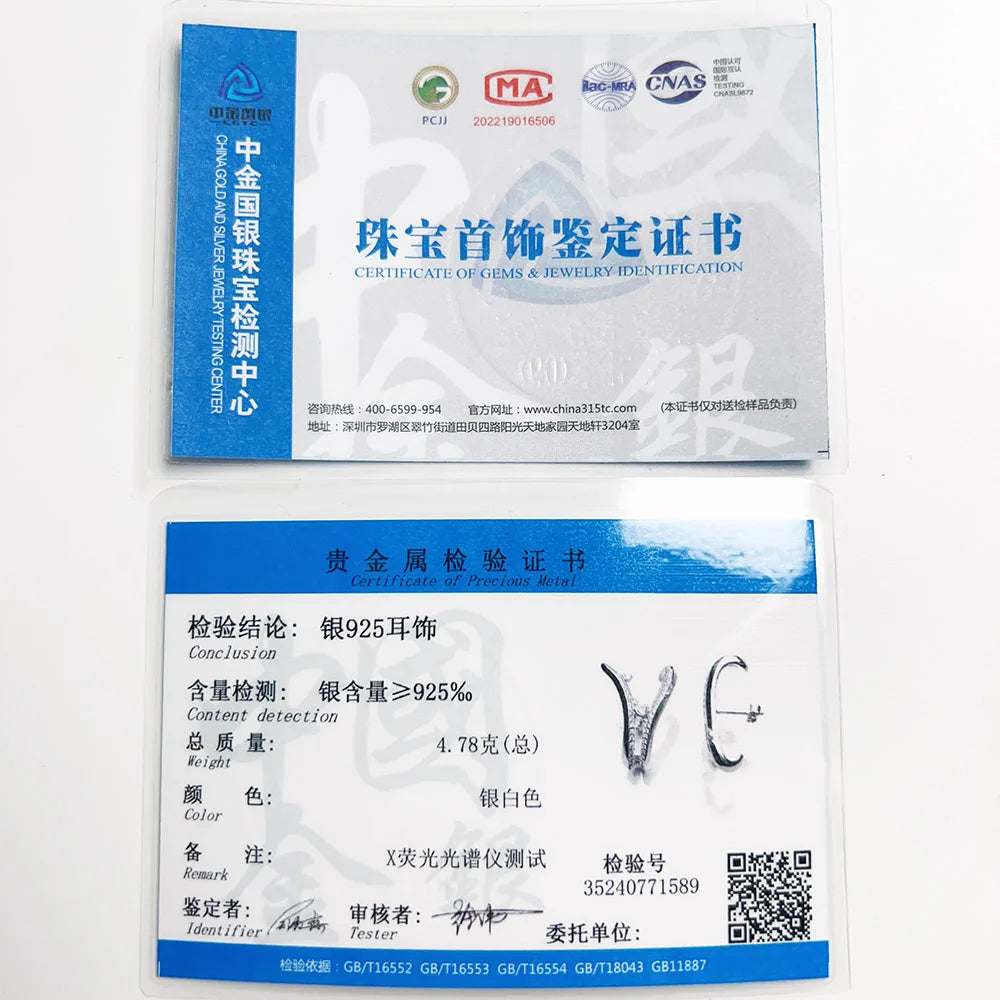 Ear Studs Wave With Stones,Europe Style Fine Jewerly For Women 3D-Effect Trendy Gift In 925 Sterling Silver