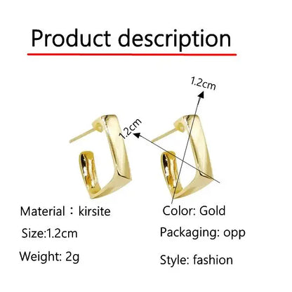 European and American Fashion Earrings Geometric Metal Earrings Fashion Earrings Net Red New Trend Earrings