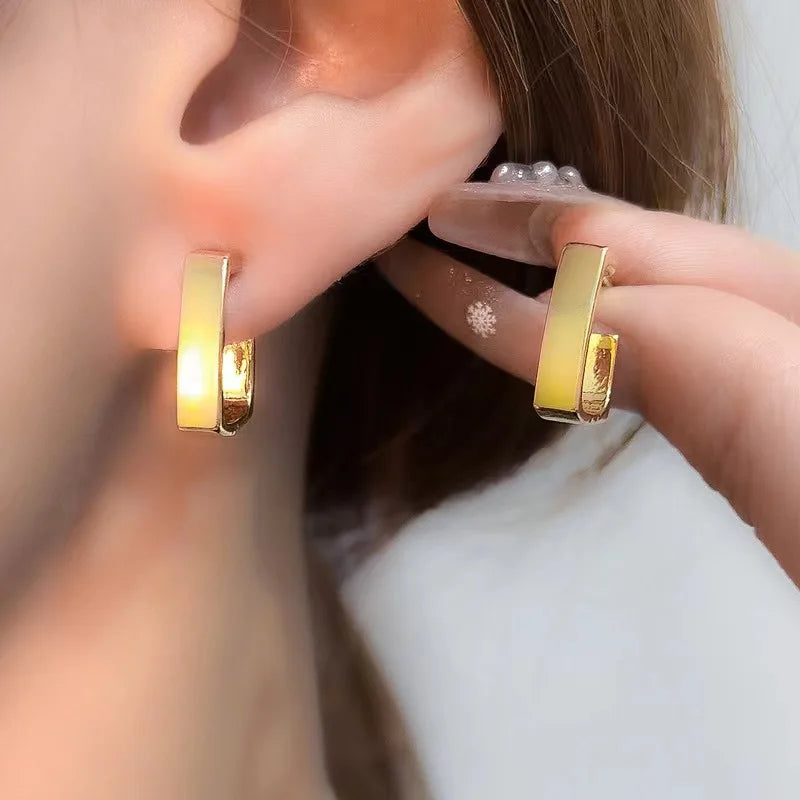 European and American Fashion Earrings Geometric Metal Earrings Fashion Earrings Net Red New Trend Earrings