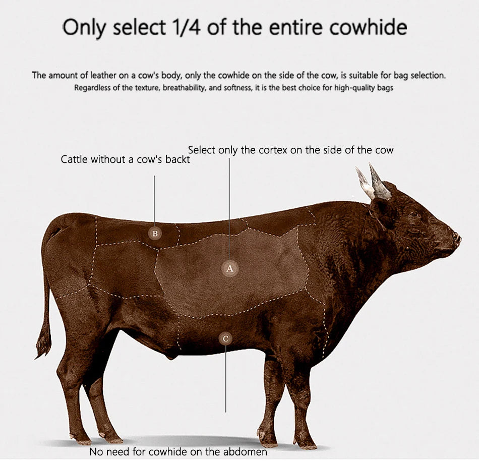 Women's Bag Handbag Fashion Female Messenger Phone Bag 2024 Luxury Cow Leather Women Shoulder Crossbody Bag