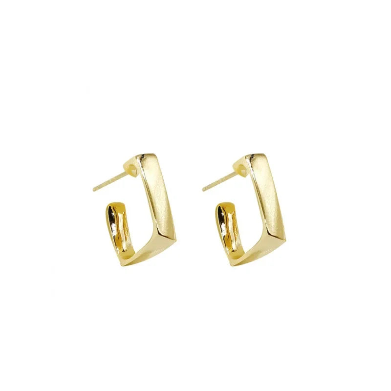European and American Fashion Earrings Geometric Metal Earrings Fashion Earrings Net Red New Trend Earrings