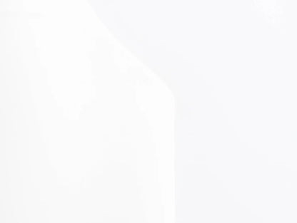 2025 Women Sexy Backless Strapless Halter Corset Tops Side Zipper Lady Slim Camis Female Solid Chic Tops