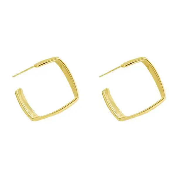European and American Fashion Earrings Geometric Metal Earrings Fashion Earrings Net Red New Trend Earrings