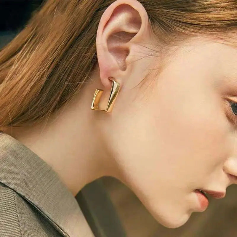 European and American Fashion Earrings Geometric Metal Earrings Fashion Earrings Net Red New Trend Earrings