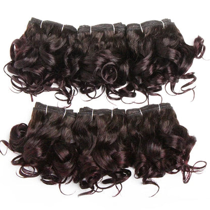 Curly Hair Bundles Brazilian Human Hair Weave 6 Bundles With Lace Closure Colored 1B/27/30/33/99J Short Hair Extension For Women