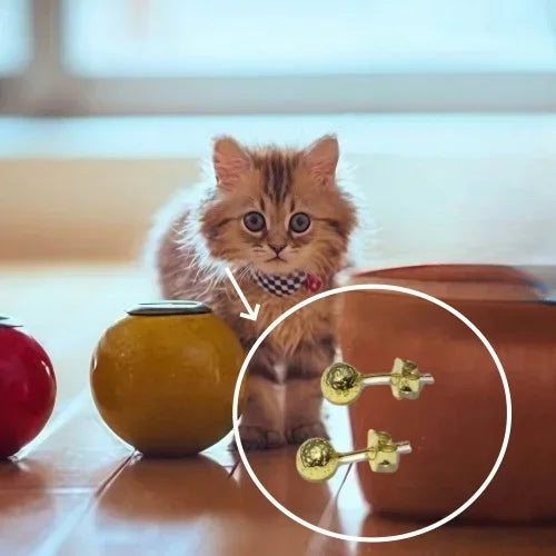 2025 Earrings Are Fashionable and Simple, Designed Specifically for Women's Accessories, Suitable for Parties and Gift Giving